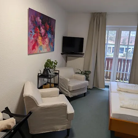 Parkhotel Bad Brambach Buitenkant foto