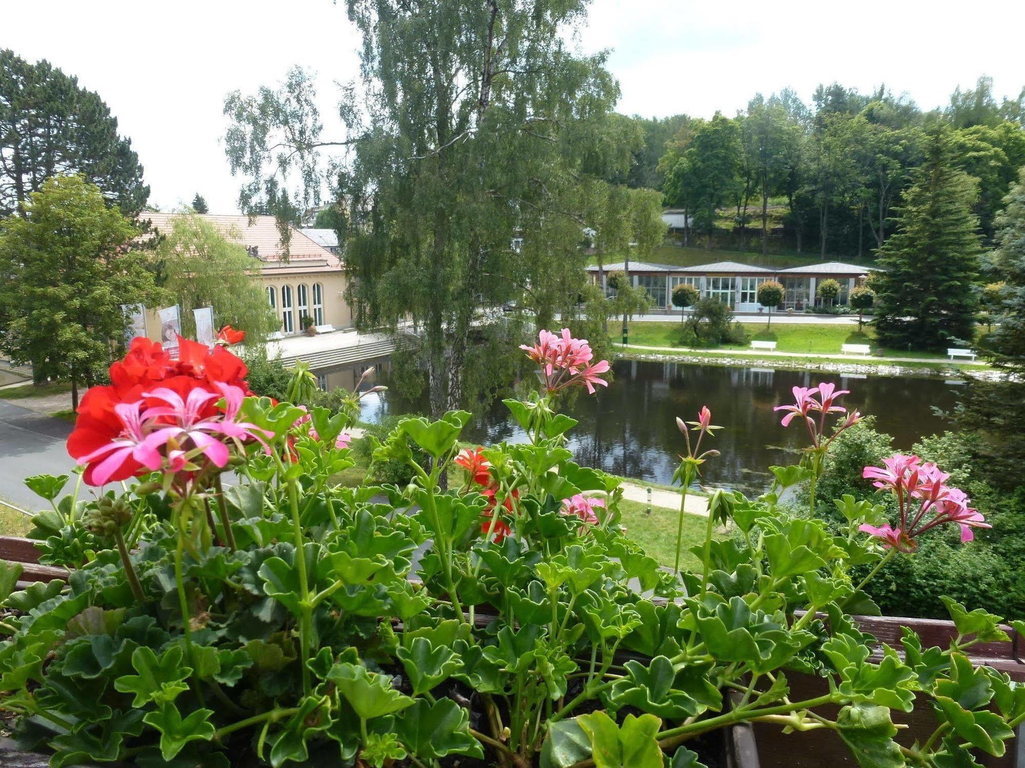 Parkhotel Hotel Bad Brambach